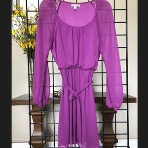 Sheer Long Sleeve Dress